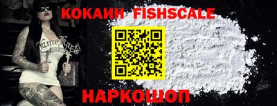 кокс Можга