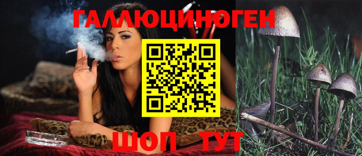 Псилоцибиновые грибы Cubensis Петровск