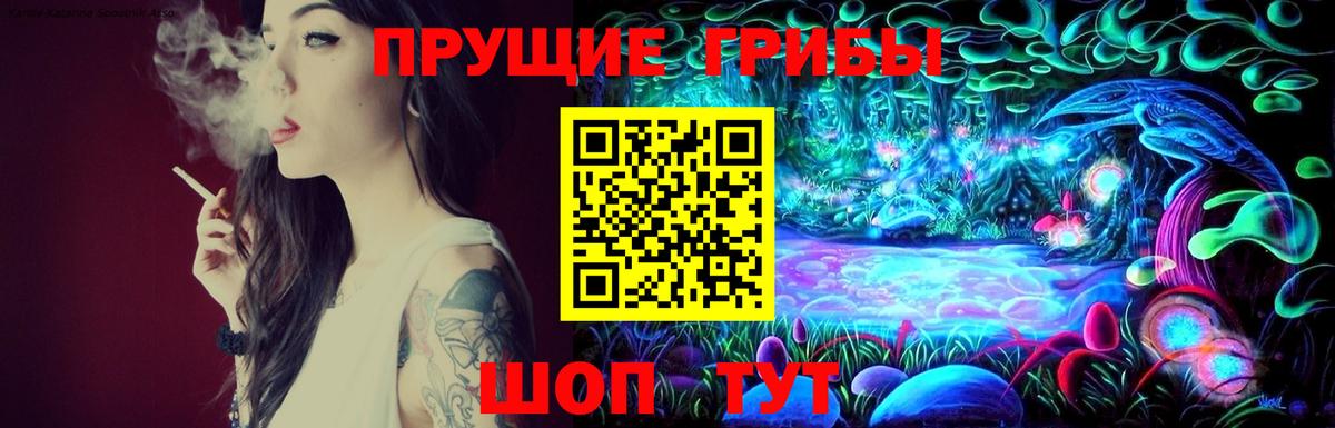 Галлюциногенные грибы Psilocybe  Псилоцибиновые грибы GOLDEN TEACHER  Вход с VPN  Петровск 